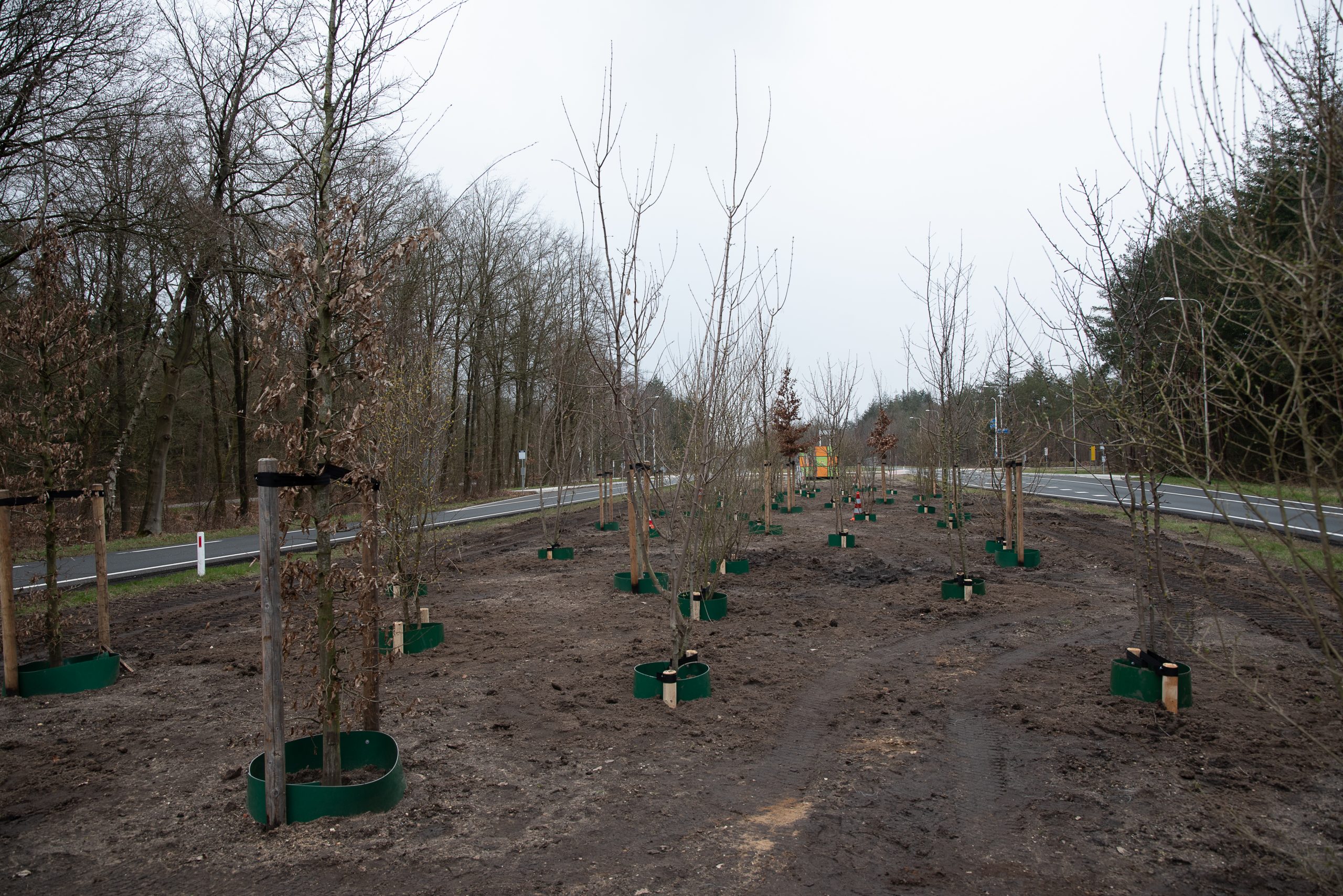Berm N304 – Apeldoorn vergroend