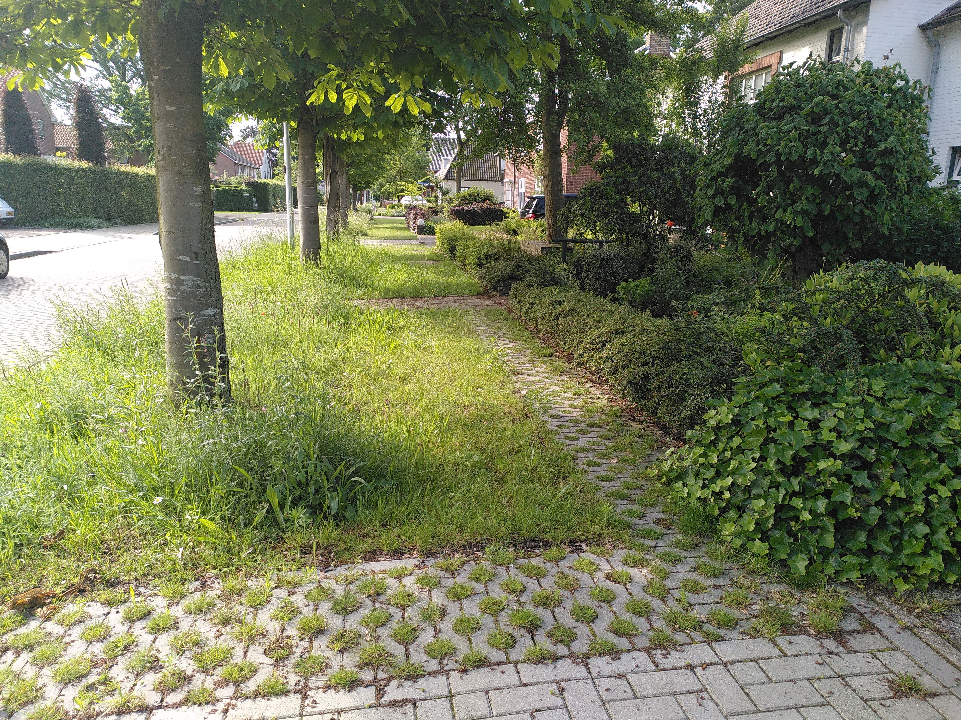 IMG 20240530