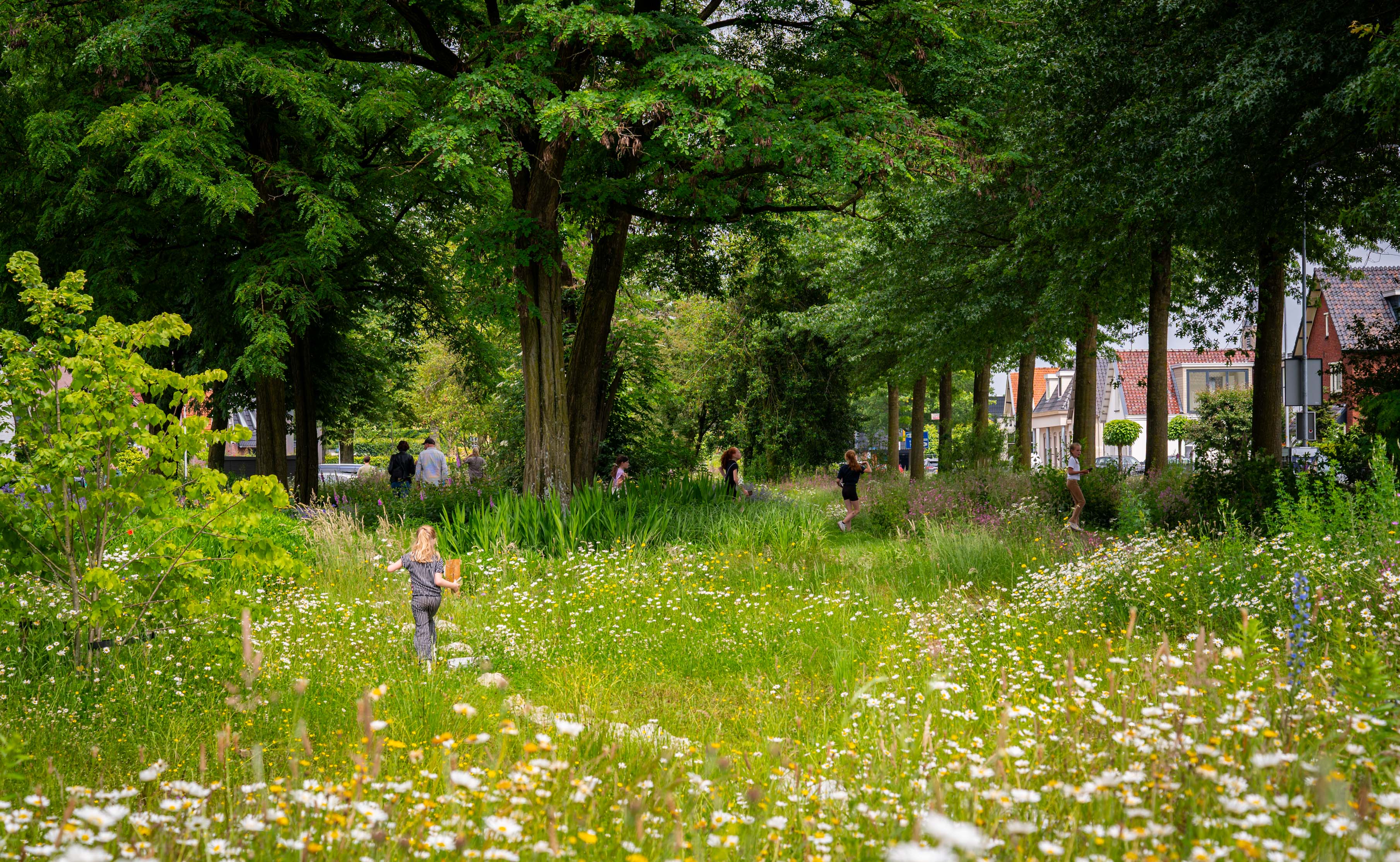 GroeneRuyt SpoorzoekerRemisepark