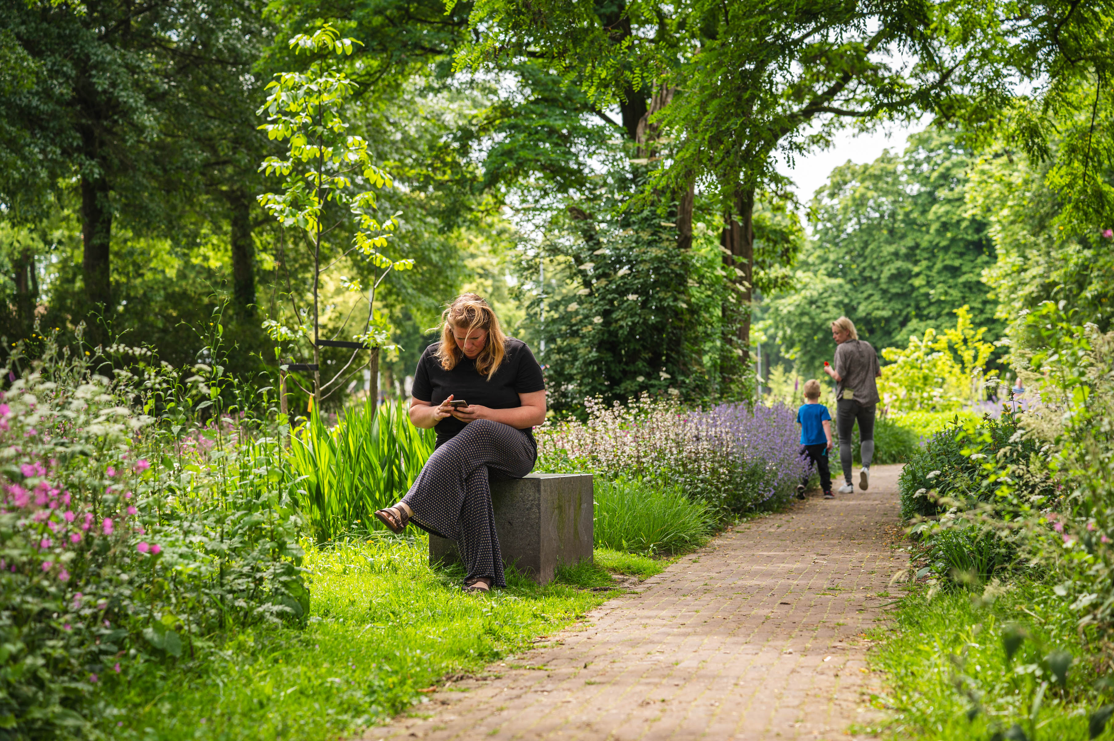 GroeneRuyt SpoorzoekerRemisepark