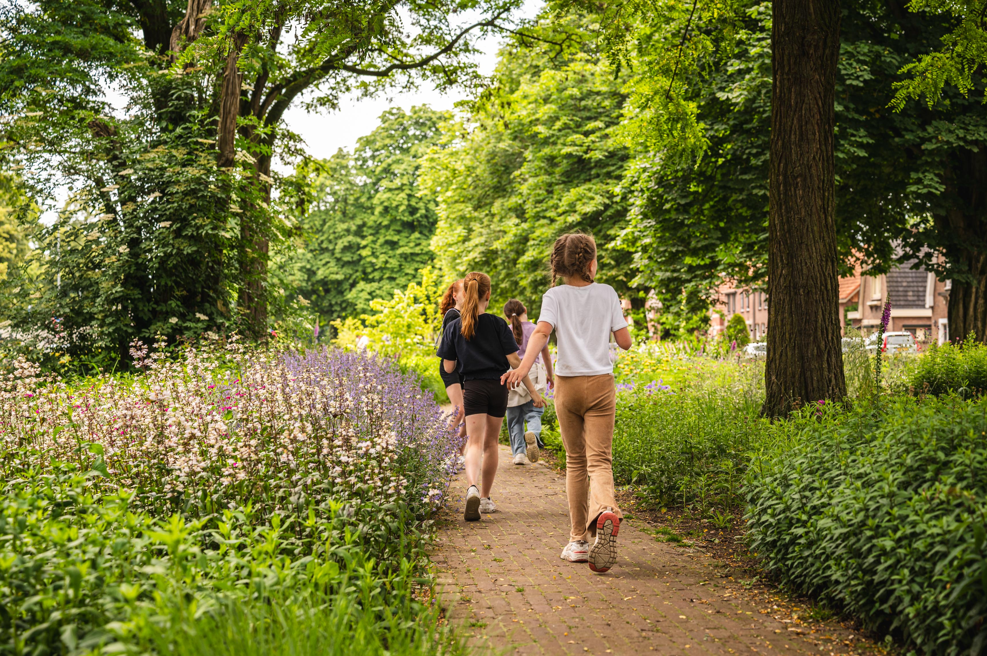 GroeneRuyt SpoorzoekerRemisepark