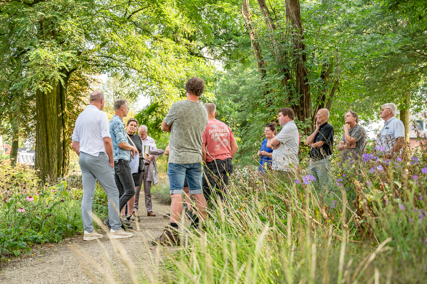 MSF