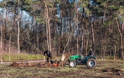 Klinkenbelt wordt vriendelijk bos